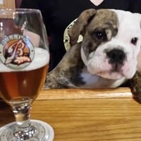 Bulldog Brewing Company in Whiting, Indiana - 4.00 star rating