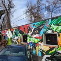 BabyCat Brewery in Kensington, Maryland - 4.60 star rating