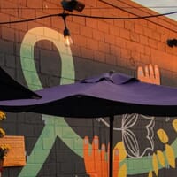 Belleflower Brewing Company in Portland, Maine - 4.80 star rating