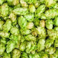 From The Barrel Brewing Company in Derry, New Hampshire - 4.80 star rating