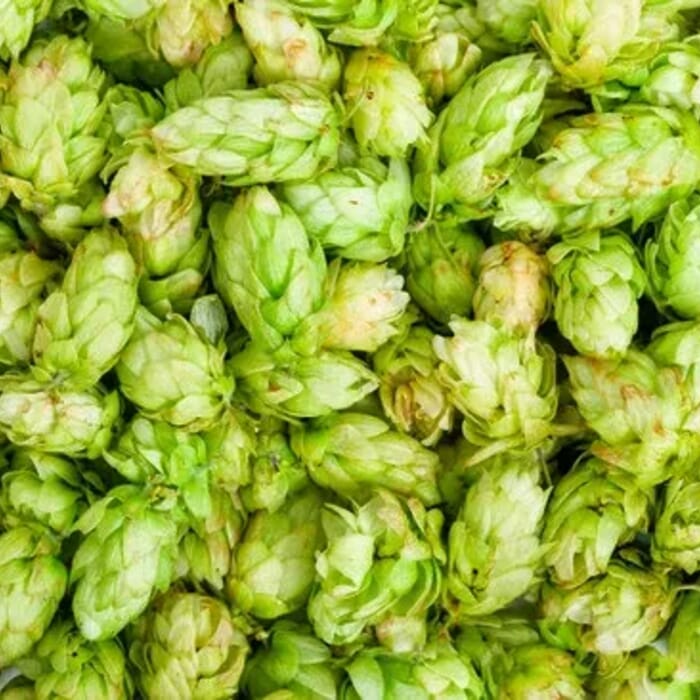 From The Barrel Brewing Company