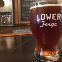 Lower Forge Brewery in Medford, New Jersey - 4.60 star rating