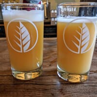 Deciduous Brewing Company in Newmarket, New Hampshire - 4.70 star rating