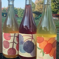 Wildbranch Cider in Craftsbury, Vermont - 5.00 star rating