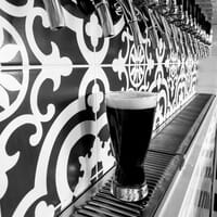 Birds Nest Brewing Co. in Danville, Kentucky - 5.00 star rating