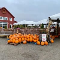 Cider Barn Taproom at Carlson Orchards in Harvard, Massachusetts - 4.70 star rating