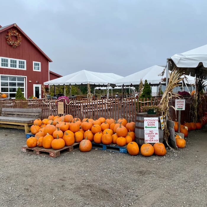 Cider Barn Taproom at Carlson Orchards
