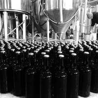Barrier Brewing Co. in Oceanside, New York - 4.80 star rating