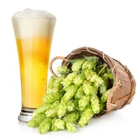Hillsdale Brewing Company in Hillsdale, Michigan - 4.50 star rating