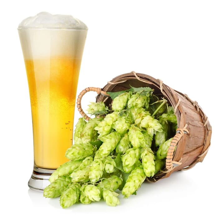 Hillsdale Brewing Company