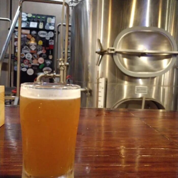 Wyandotte Beer Company