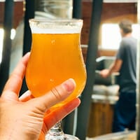 Cerveza Cito Brewery in Santa Ana, California - 4.90 star rating