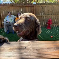 Tanasi Brewing & Supplies in Chattanooga, Tennessee - 5.00 star rating