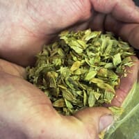 Maxline Brewing in Fort Collins, Colorado - 4.80 star rating