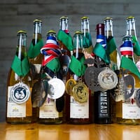 Wise Bird Cider Co. in Lexington, Kentucky - 4.70 star rating