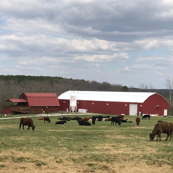 Piney River Brewing Company