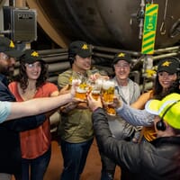 Budweiser Brewery Experience in St. Louis, Missouri - 4.70 star rating
