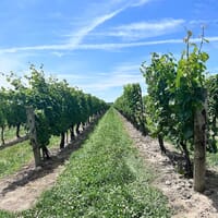 Brewery & Distillery Tours Niagara in Niagara Falls, Ontario - 5.00 star rating