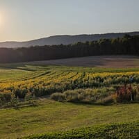 Dancing Grain Farm Brewery in Gansevoort, New York - 4.30 star rating