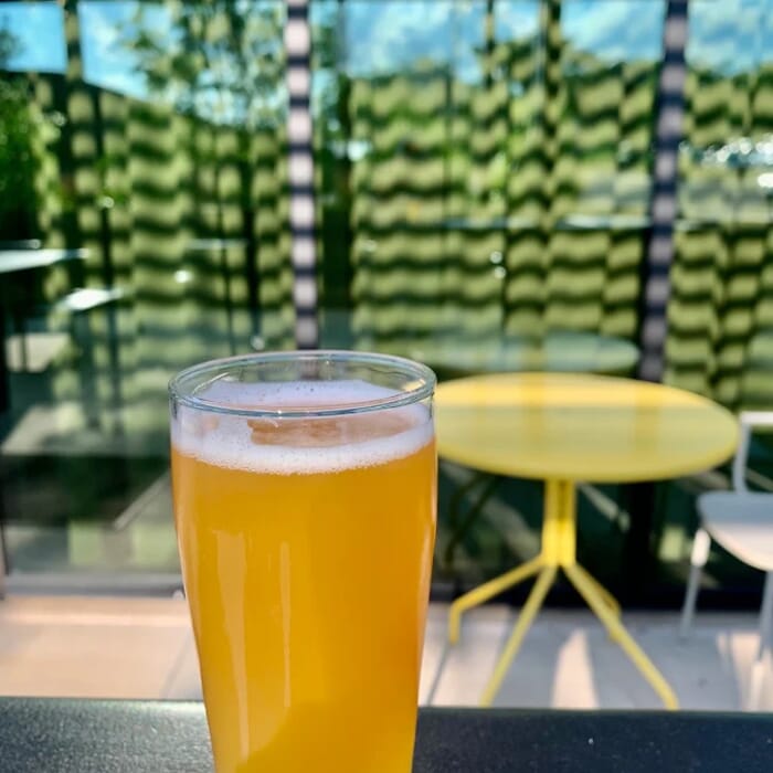 Bearded Iris - Sylvan Supply