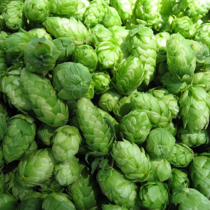 Three Heads Brewing