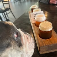 Neoteric Brewing in Huntersville, North Carolina - 4.60 star rating