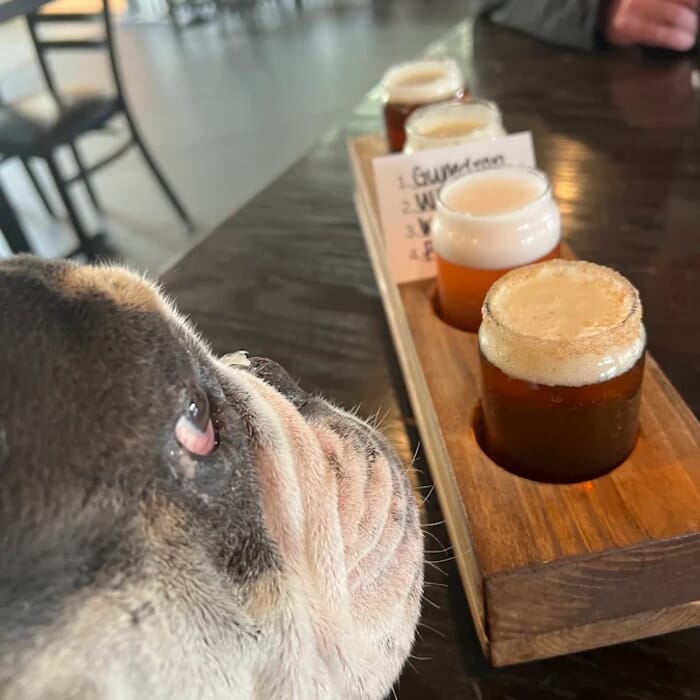 Neoteric Brewing
