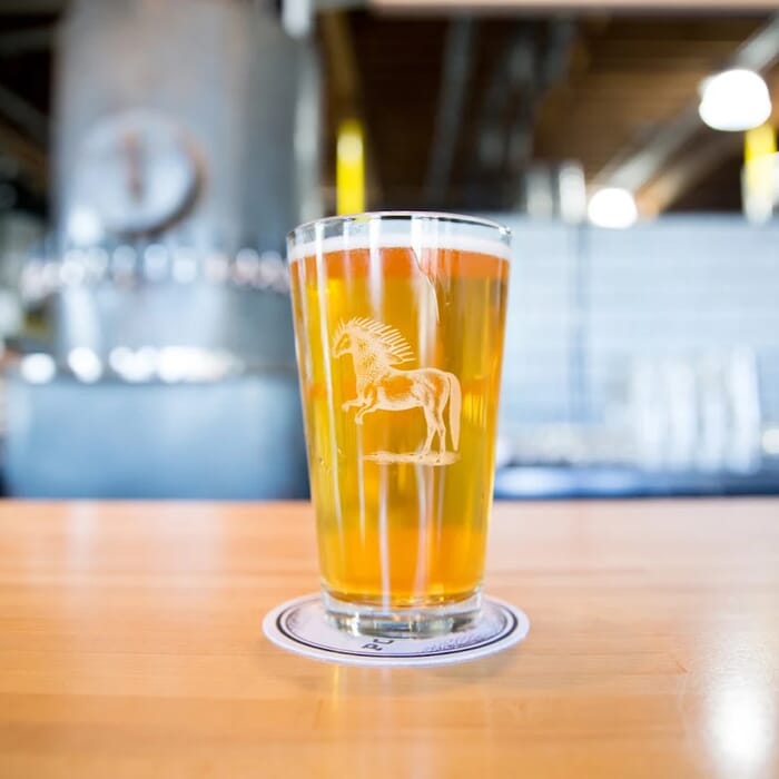 Ponysaurus Brewing Co.