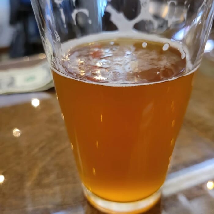 Wild Dogs Brewing Company
