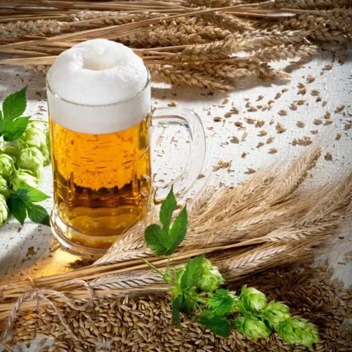 Sandy Shore Brewing