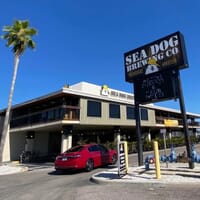 Sea Dog Brewing Co. in Treasure Island, Florida - 4.50 star rating