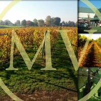 Maize Valley Winery & Craft Brewery in Hartville, Ohio - 4.50 star rating