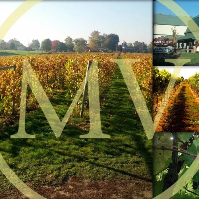 Maize Valley Winery & Craft Brewery