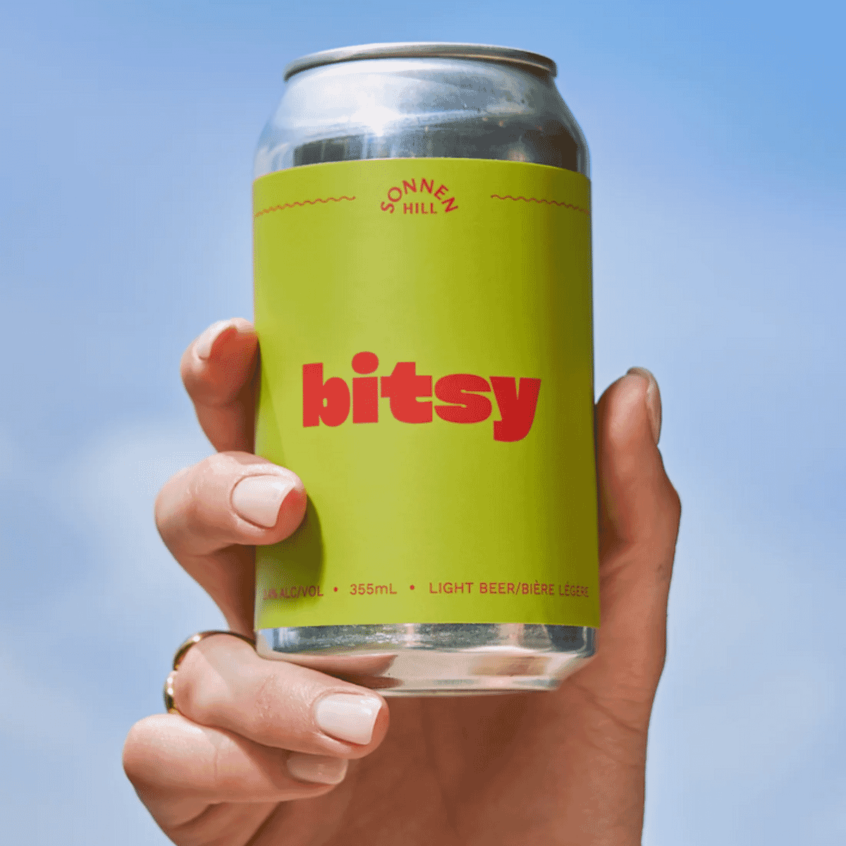 Bitsy