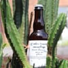 Mice en Place: Biere de Cactus