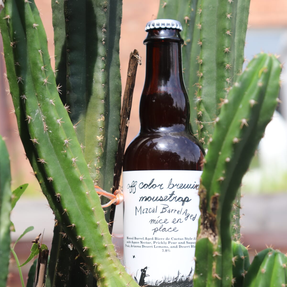 Mice en Place: Biere de Cactus