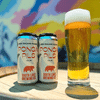 Ponga New Zealand Pilsner