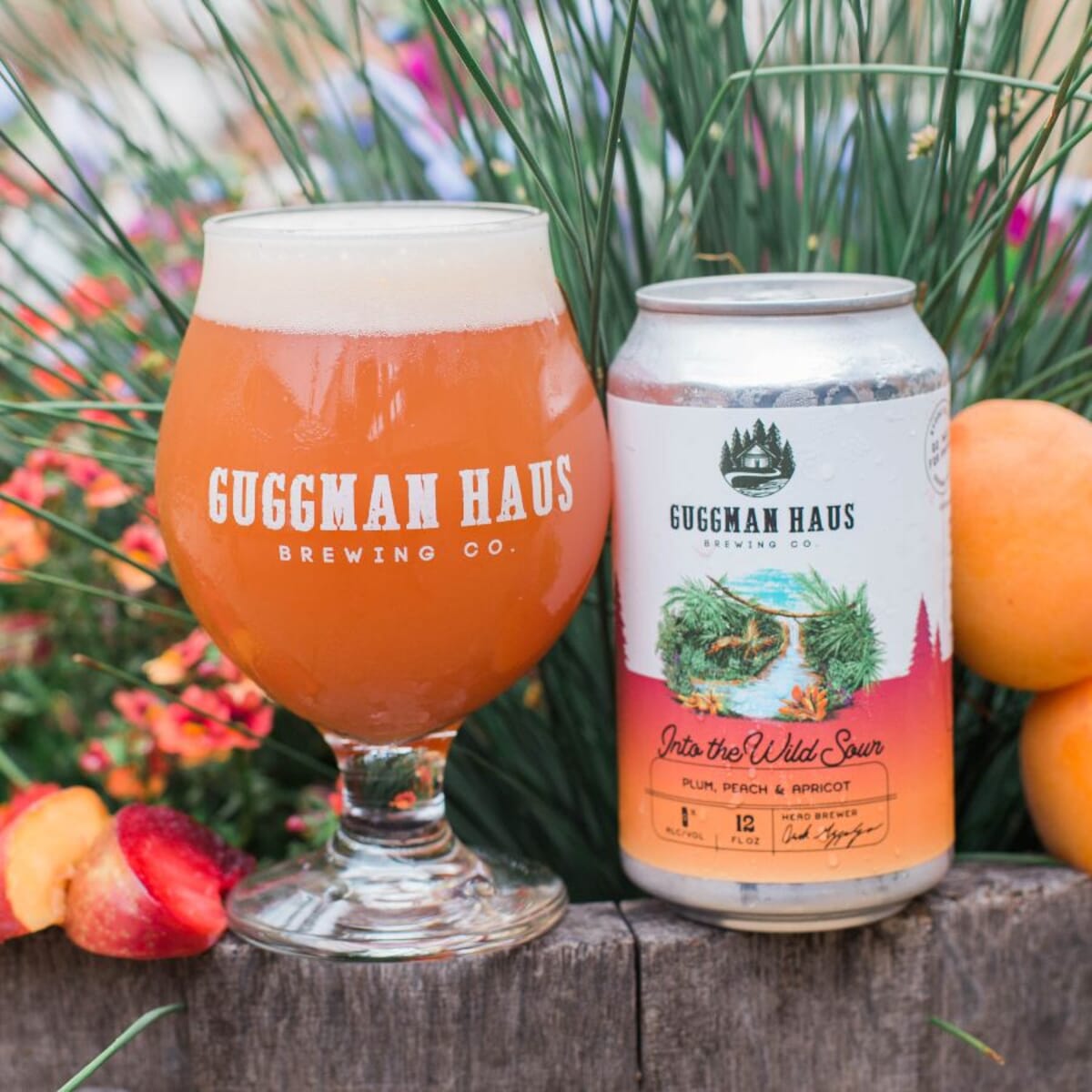 Into the Wild Sour: Peach, Plum, Apricot