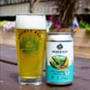 IPA Expedition #27