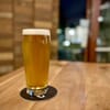 Festbier