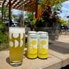 Main Squeeze Lemon Radler