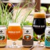 IPA Expedition 030