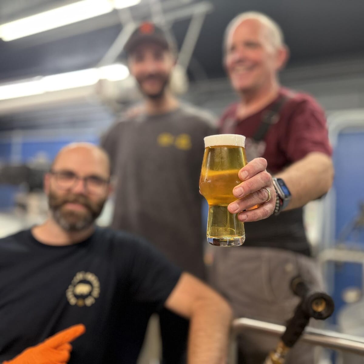 Brewers' IPA