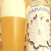 Birds of Paradise