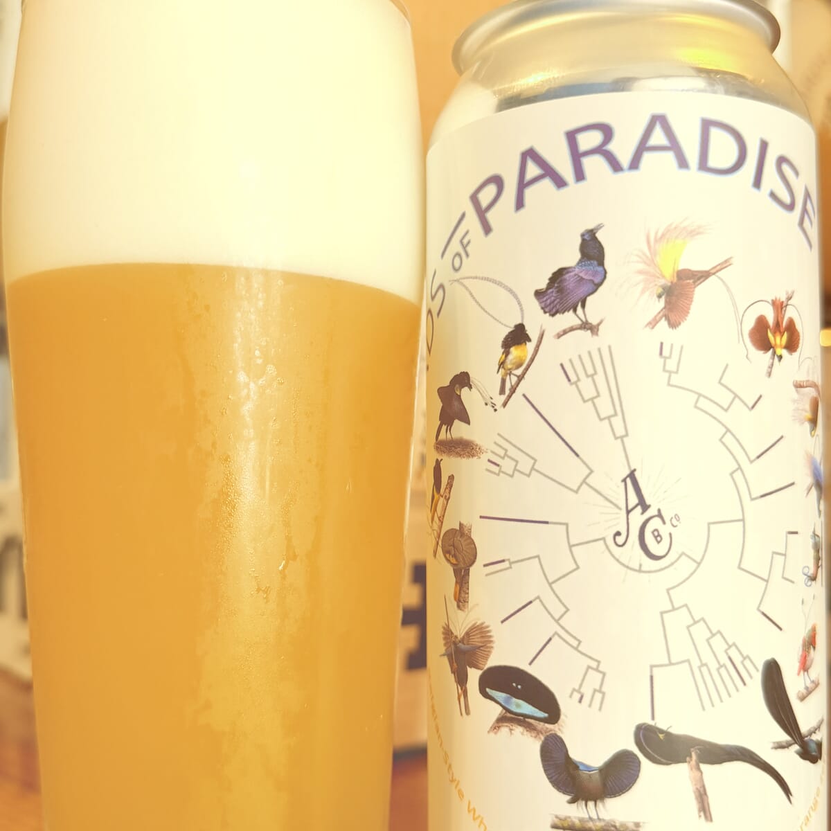 Birds of Paradise