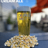 Cream Ale