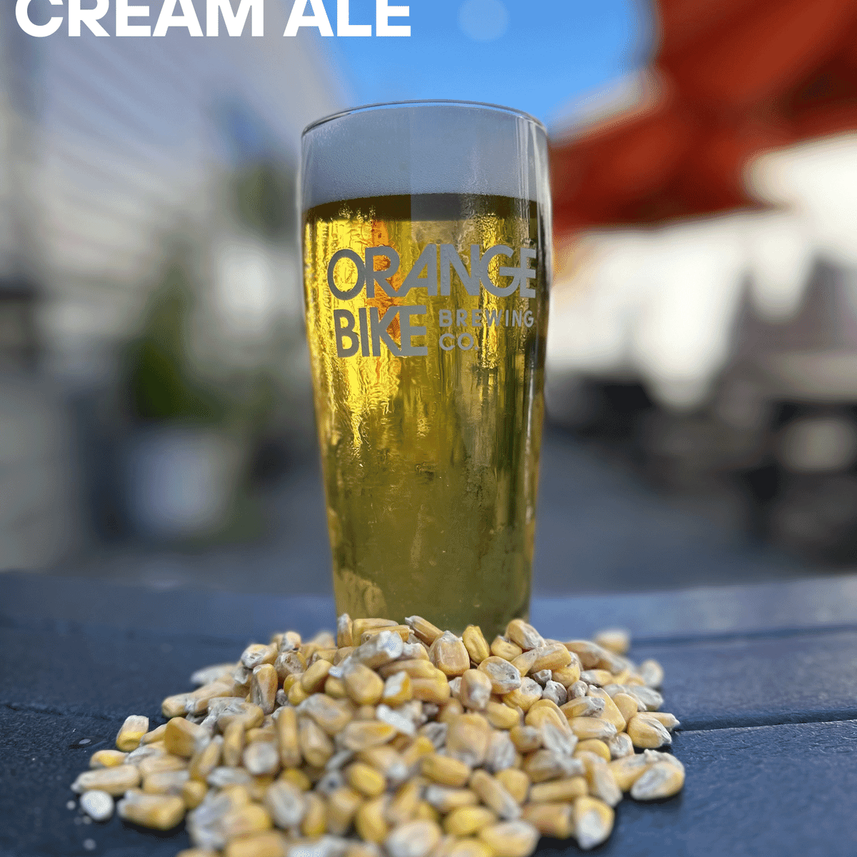Cream Ale