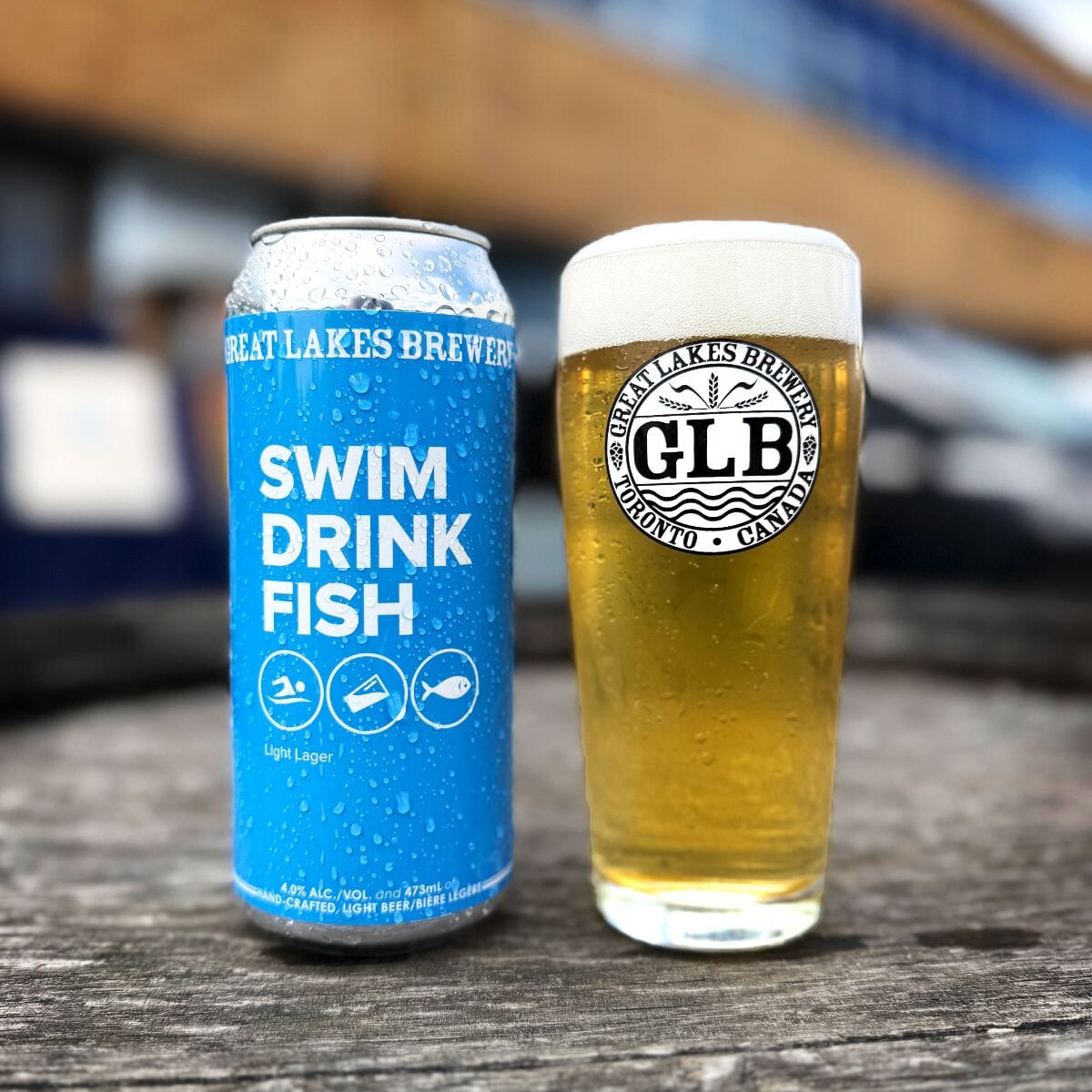 Swim Drink Fish Light Lager