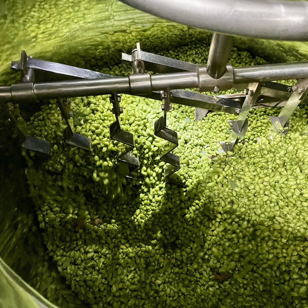 Fresh Hop Electric Fields - Luminosa