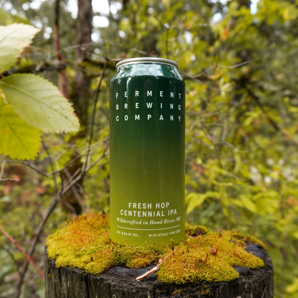 Fresh Hop Centennial IPA